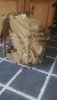 20190226_090731.jpg