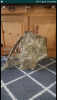 Screenshot_20190307-120324.png