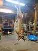 20171007_184528.jpg