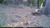 B60087D5-0552-49CB-8ED7-B62F8087A800.jpeg