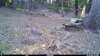 74E43740-7785-47D1-AC06-075BDDAE328B.jpeg