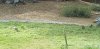 20190417_082949.jpg