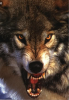 20190502_175354.png