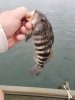 20190717_063134.jpg