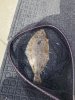 20190717_100623.jpg