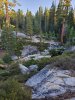 20190824_070432.jpg