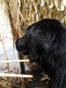 IMG_20190209_092651.jpg
