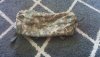 20190929_145614.jpg