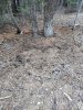 20191019_072759.jpg