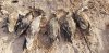 20191027_085140.jpg