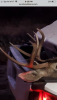 7B923B51-AAFC-462D-BEF8-F8276AC9E4F9.png