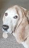 20191105_072610.jpg