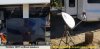 Sat antenna and outdoor TV.jpg