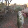 IMG_20200221_193141_248.jpg