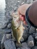 IMG_20200403_071931.jpg