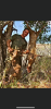 740AF46B-81CA-4B00-9FC7-EF8A4CDCE3C4.png