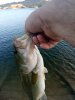IMG_20200731_072448.jpg