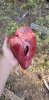 20200820_093002.jpg