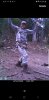 Screenshot_20200821-163711_Gallery.jpg