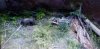 20200819_150219.jpg