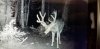 20200817_120321.jpg