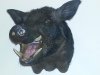 20131220_174655.jpg