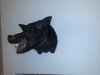 20131220_174744.jpg