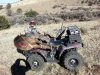 loaded.jpg
