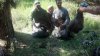 2012-05-05_16-03-17_113.jpg