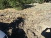 20131111_135759.jpg