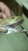 IMAG0665.jpg