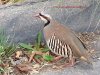 LaMesaChukar.jpg