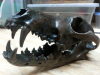 Skull.png