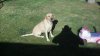 IMG_20131109_084358_416.jpg