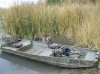boat.jpg