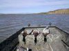 boat2edit.jpg