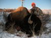 WyomBison.jpg