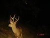 DSC00024.JPG