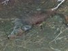20140509_215413_resized.jpg
