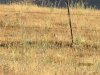 IMG_7985.JPG