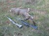 pheasant,dove,deer nov 10-14 051.JPG