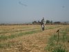 Wister Draw & Dove Hunt 9-9-11 007.JPG