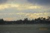 IMG_4351.JPG