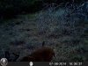 HUNT0165.JPG