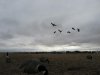 canada 2007 036.jpg