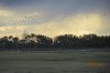 IMG_4352.JPG