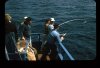 scan060.jpg