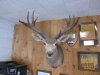 nwtf & desert 6-9-13 024.JPG