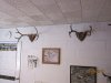 nwtf & desert 6-9-13 030.JPG