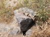 DSCF0093.JPG